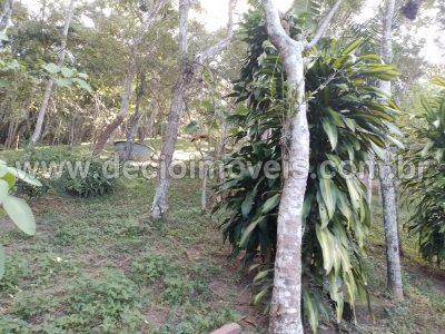 Casa, 4 quartos, 2500 m² - Foto 3