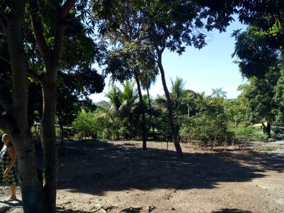 Chácara, 4 quartos - Foto 4