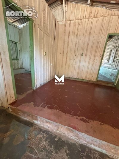 Casa, 4 quartos - Foto 4