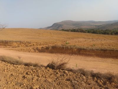 Fazenda, 160 hectares - Foto 4