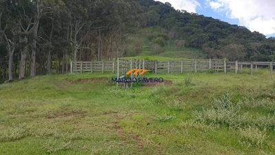Fazenda, 73 hectares - Foto 5