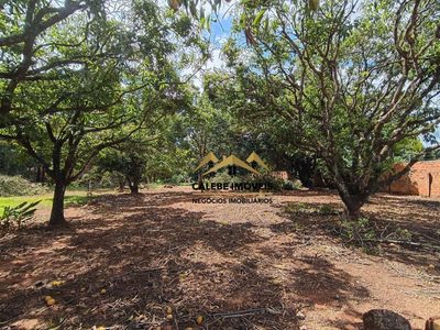 Terreno, 1000 m² - Foto 5