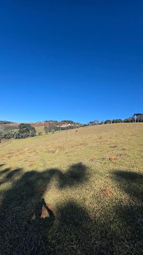 Terreno, 2 hectares - Foto 4