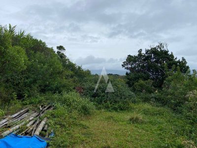 Terreno, 483 m² - Foto 5
