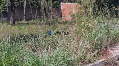 Terreno, 300 m² - Foto 5