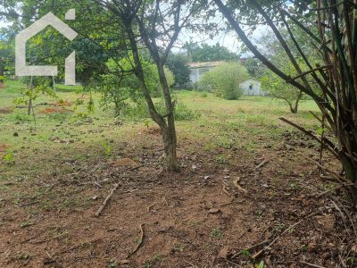 Terreno - Foto 3