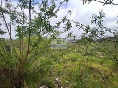 Terreno, 2 hectares - Foto 3