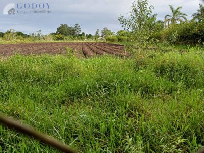 Terreno, 5000 m² - Foto 2