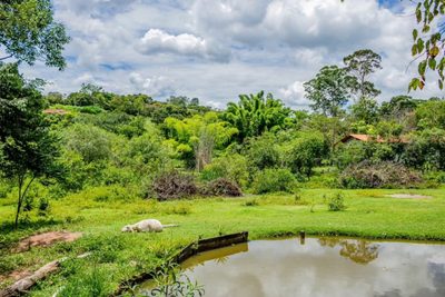 Chácara, 1 hectares - Foto 3