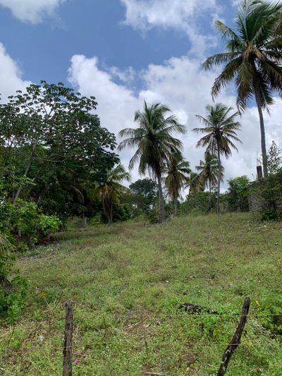 Terreno, 600 m² - Foto 5