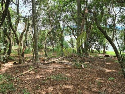 Sítio, 2 quartos, 6000 m² - Foto 3
