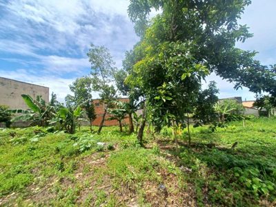 Terreno, 1000 m² - Foto 2