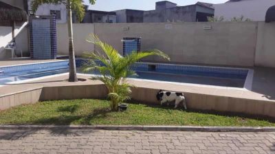 Casa, 4 quartos, 914 m² - Foto 3