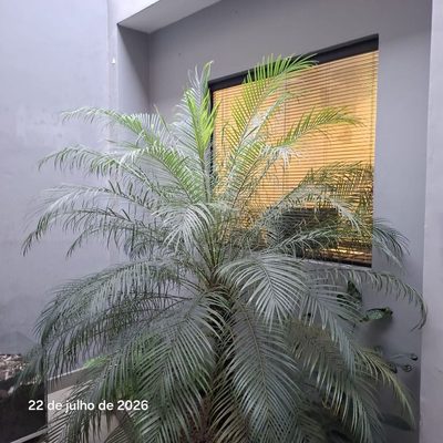 Sobrado, 5 quartos, 220 m² - Foto 1