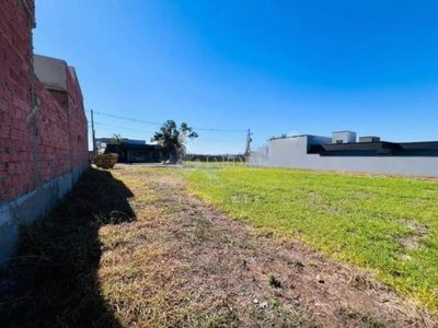 Terreno, 300 m² - Foto 5