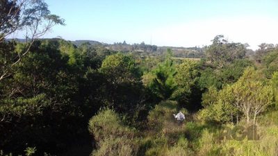 Sítio, 2999 m² - Foto 4