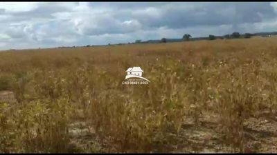 Fazenda, 1 m² - Foto 4