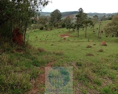 Sítio, 2 quartos, 150000 m² - Foto 3