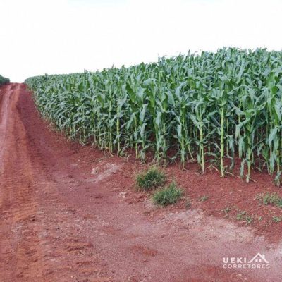 Fazenda, 104 hectares - Foto 1