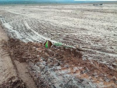 Terreno, 1000 m² - Foto 1