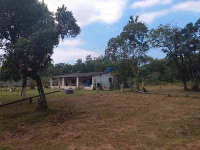 Chácara, 3 quartos, 1 hectares - Foto 1