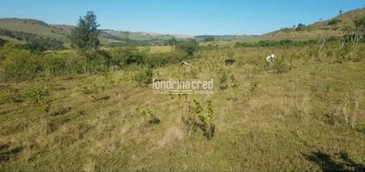 Terreno, 80 hectares - Foto 5