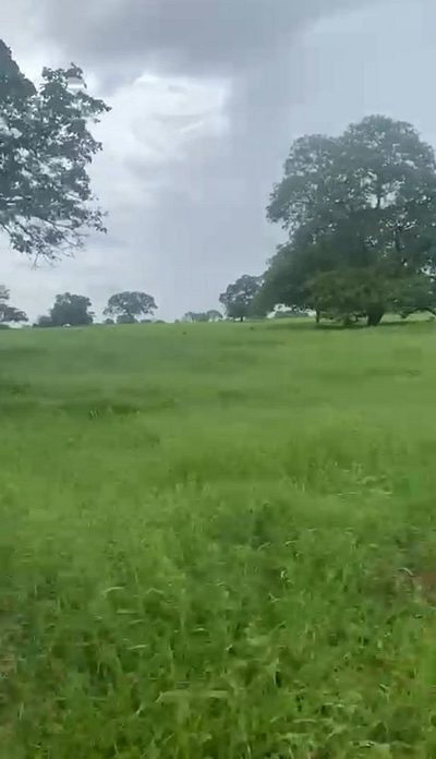 Fazenda, 4180 hectares - Foto 2
