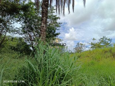 Terreno, 4 hectares - Foto 4