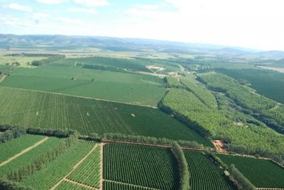 Fazenda, 530 hectares - Foto 4