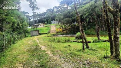 Casa, 3 quartos, 220 m² - Foto 4