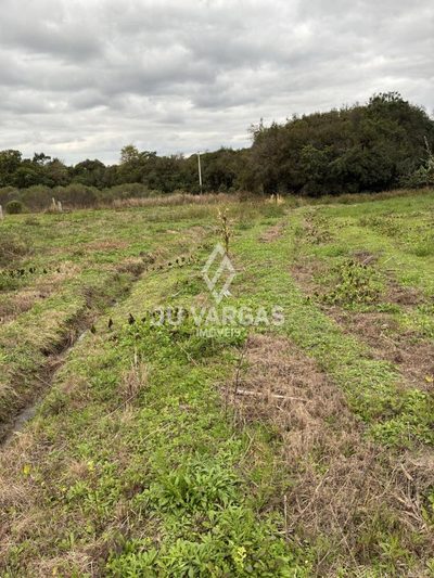 Sítio, 2 quartos, 2 hectares - Foto 3