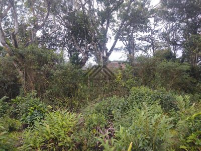 Terreno, 275 m² - Foto 4