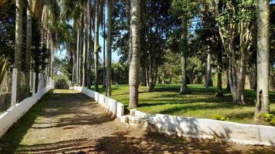 Chácara - Foto 3