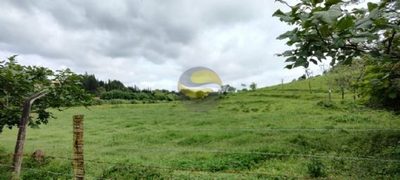 Terreno, 3 hectares - Foto 1