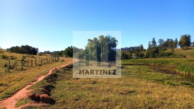 Terreno, 13 hectares - Foto 3