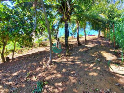 Terreno, 330 m² - Foto 4