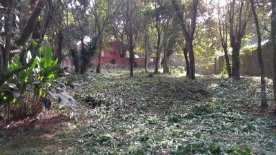 Terreno, 1000 m² - Foto 4