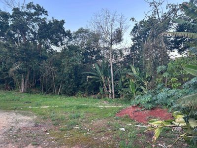 Casa, 4 quartos, 300 m² - Foto 1