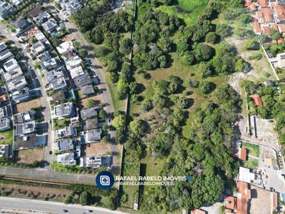 Terreno, 4 hectares - Foto 2