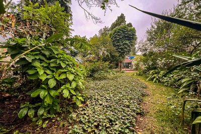 Terreno, 788 m² - Foto 1