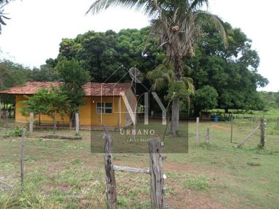 Terreno - Foto 4