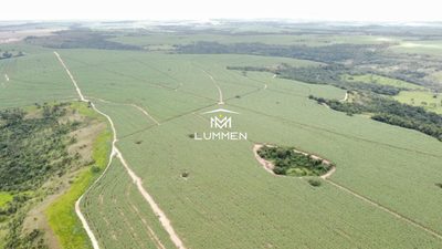 Fazenda - Foto 1