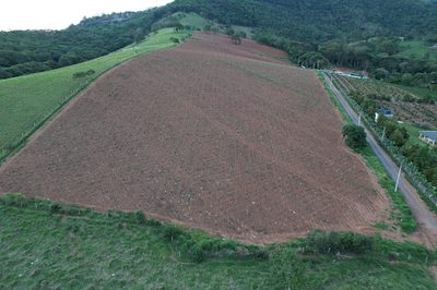 Terreno, 2 hectares - Foto 1
