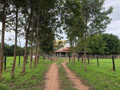 Chácara, 1 quarto - Foto 2