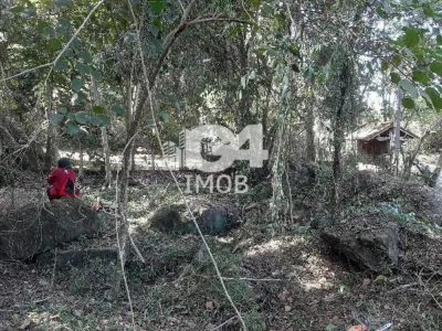 Terreno, 2500 m² - Foto 1