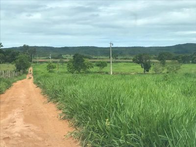 Fazenda - Foto 2