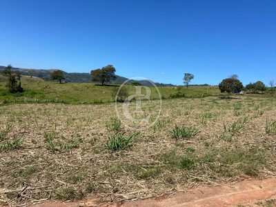 Fazenda, 70 hectares - Foto 4