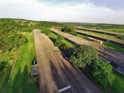 Sítio, 90 hectares - Foto 2