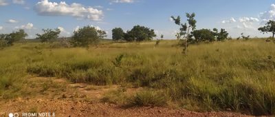Fazenda, 615 hectares - Foto 2
