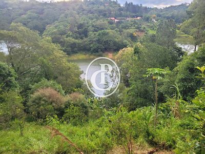 Chácara, 3 quartos, 5000 m² - Foto 2